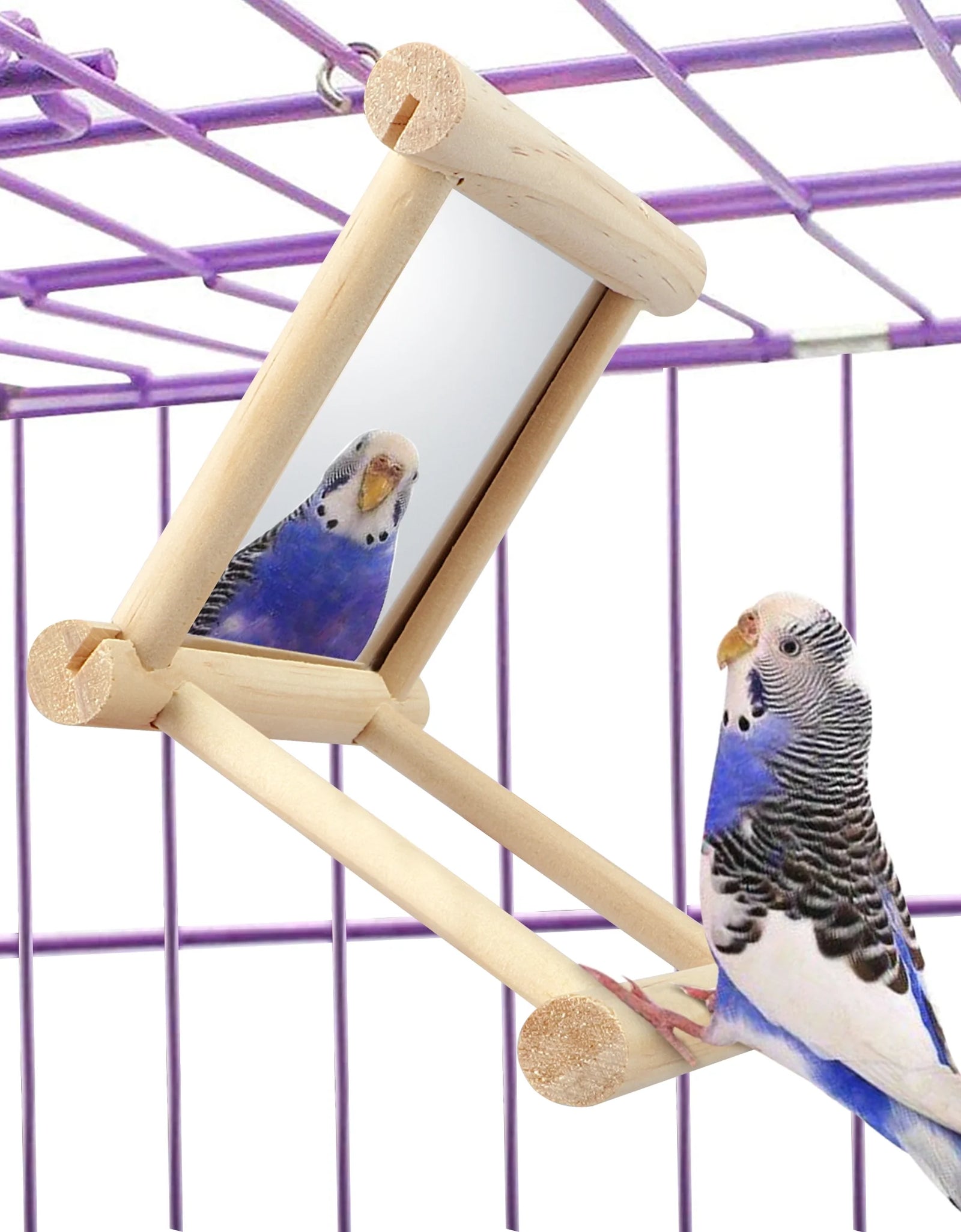 Bird Toy, Bird Mirror for Parakeet Cockatoo Cockatiel Conure Lovebird Canaries