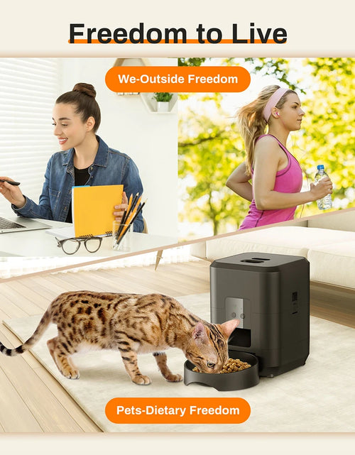 Load image into Gallery viewer, 2L Cat Timing Feeder Tuya APP Smart Cat Feeder Pet Dog Food Automatic Dispenser Suitable for Small Cats and Dogs Remote Feeding
