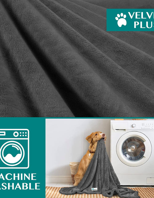 Load image into Gallery viewer, Puppy Dog Blanket | Pet Blanket Small Dog Indoor Cat Kitten | Fleece Sherpa Throw Doggy Blanket Crate Couch Sofa Bed | Soft Plush Fuzzy Fluffy Lightweight Warm Cover, 29X40
