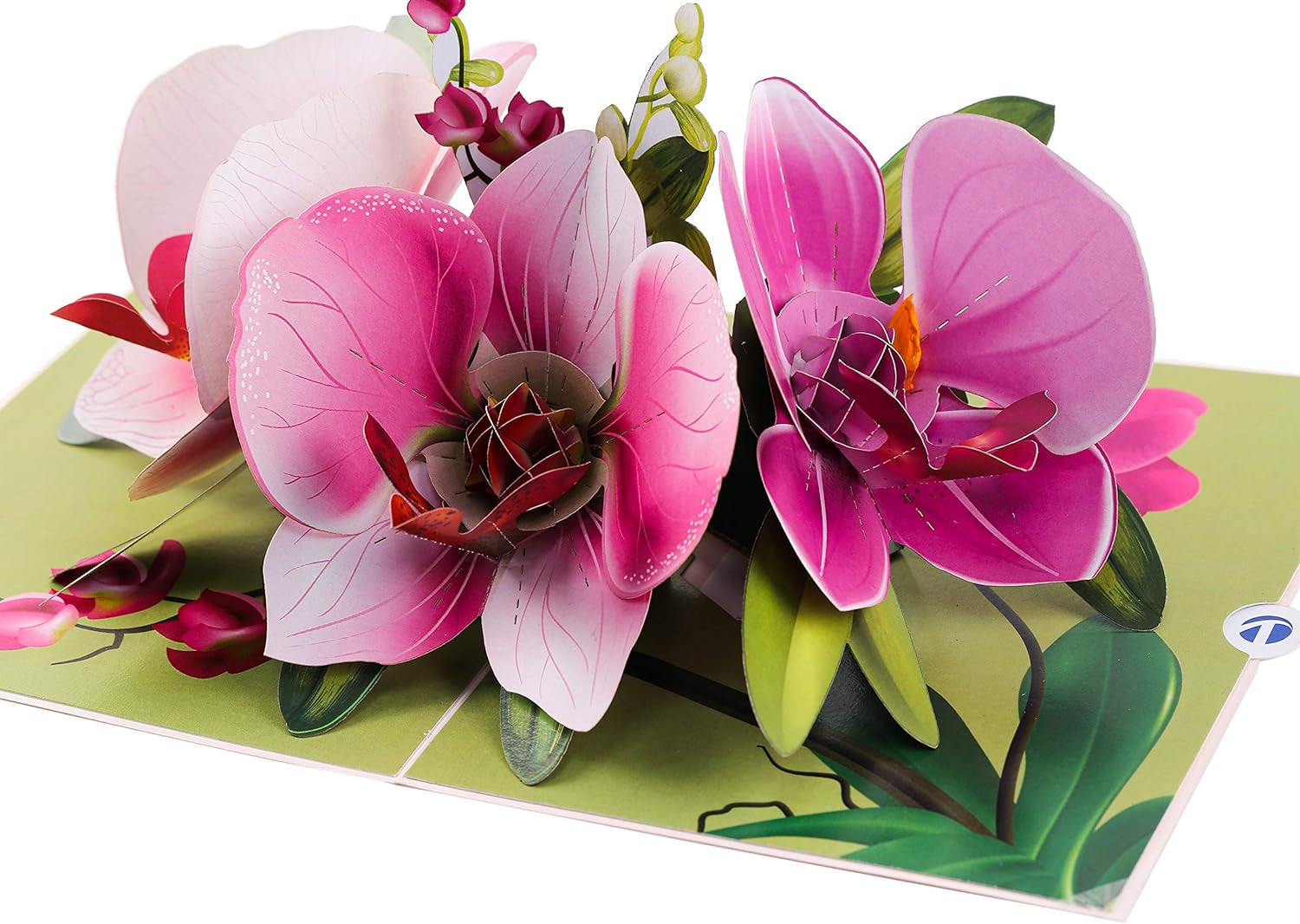 Pop up Greeting Card Orchid Flower- 3D Cards for Birthday, Anniversary, Mothers Day, Thank You Cards, Card for Mom, Valentine'S Day, Love Card, Birthday Card for Wife, All Occasion, with Blank Note