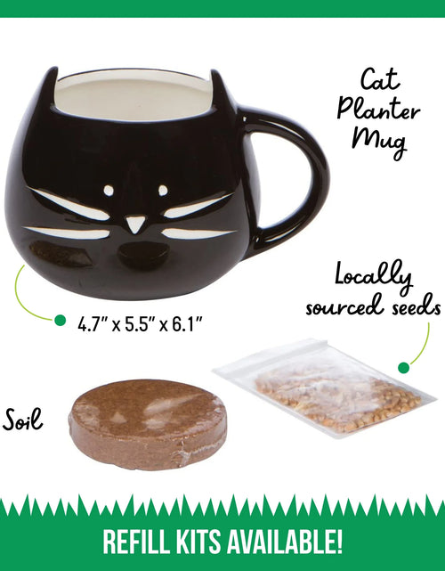 Load image into Gallery viewer, Organic Cat Grass Growing Kit with Black Cat Mug Planter
