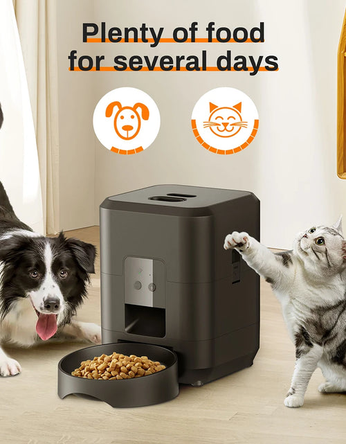 Load image into Gallery viewer, 2L Cat Timing Feeder Tuya APP Smart Cat Feeder Pet Dog Food Automatic Dispenser Suitable for Small Cats and Dogs Remote Feeding
