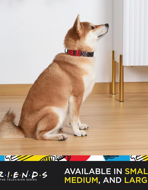 Load image into Gallery viewer, Friends TV Show Iconic Graphics Dog Collar - Friends Dog Collar, D Ring Collar, Cute Dog Collar, Puppy Collar, Collars for Dogs, Friends Pet Collar, Black Collar, Red Collar, Nylon Dog Collar
