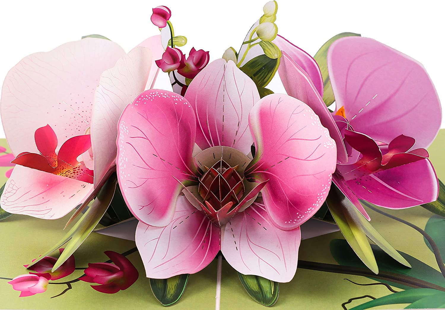 Pop up Greeting Card Orchid Flower- 3D Cards for Birthday, Anniversary, Mothers Day, Thank You Cards, Card for Mom, Valentine'S Day, Love Card, Birthday Card for Wife, All Occasion, with Blank Note