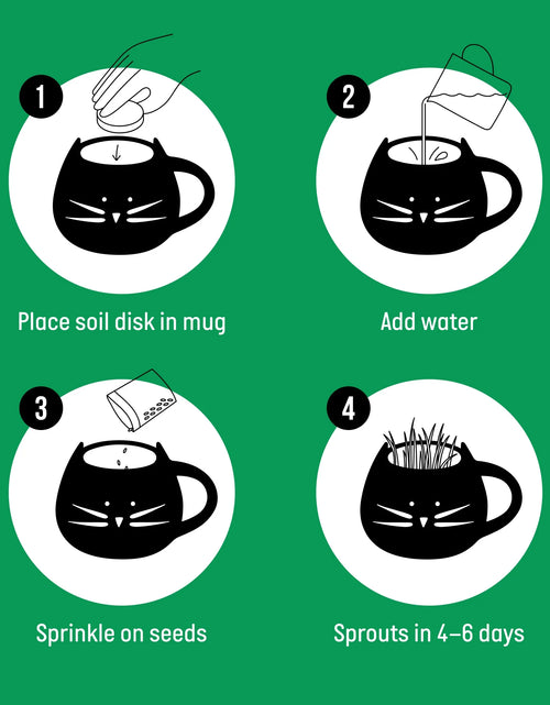 Load image into Gallery viewer, Organic Cat Grass Growing Kit with Black Cat Mug Planter
