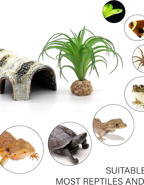 Load image into Gallery viewer, Reptile Hides and Caves Birch Tree Bark Trunk Habitats Decor Aquarium Decoration Wood for Lizard Geckos Snake Spiders Frogs Turtle (Small)
