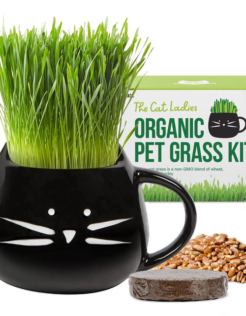 Load image into Gallery viewer, Organic Cat Grass Growing Kit with Black Cat Mug Planter
